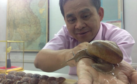 Where Do You Buy Your Snail Slime? A Push to Shop Locally